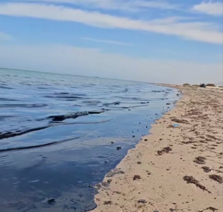 تطهير شاطئ رأس سدر بعد ظهور بقعة زيت