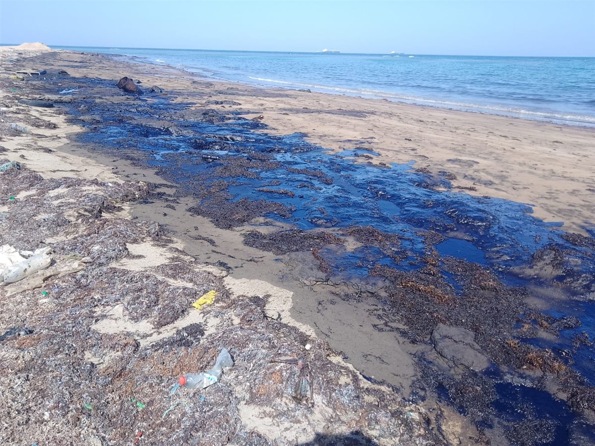 تطهير شاطئ رأس سدر بعد ظهور بقعة زيت