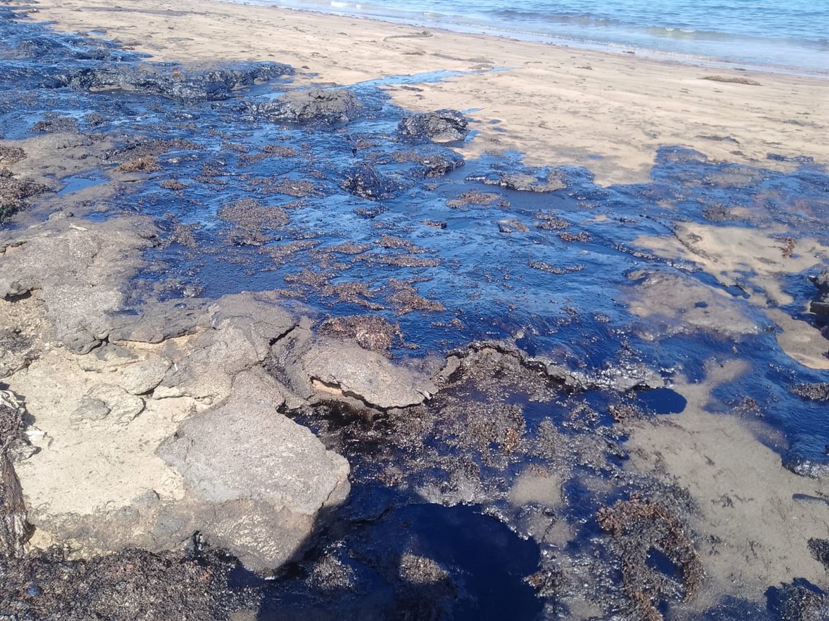 تطهير شاطئ رأس سدر بعد ظهور بقعة زيت