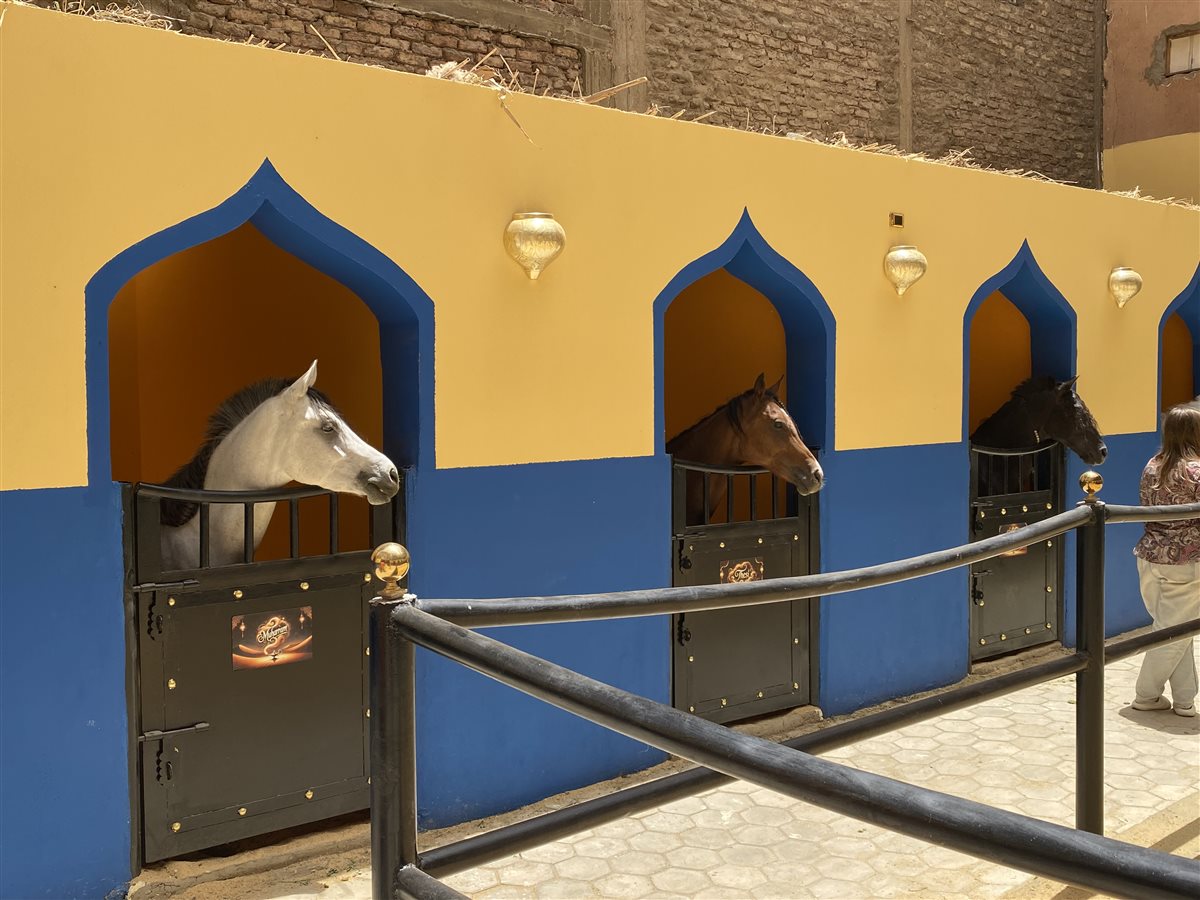 سائحة سويسرية تروج للسياحة في الاقصر