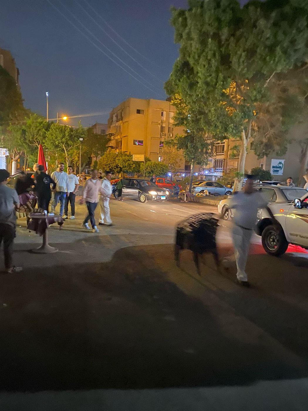 حملات لرفع الإشغالات بالنزهة