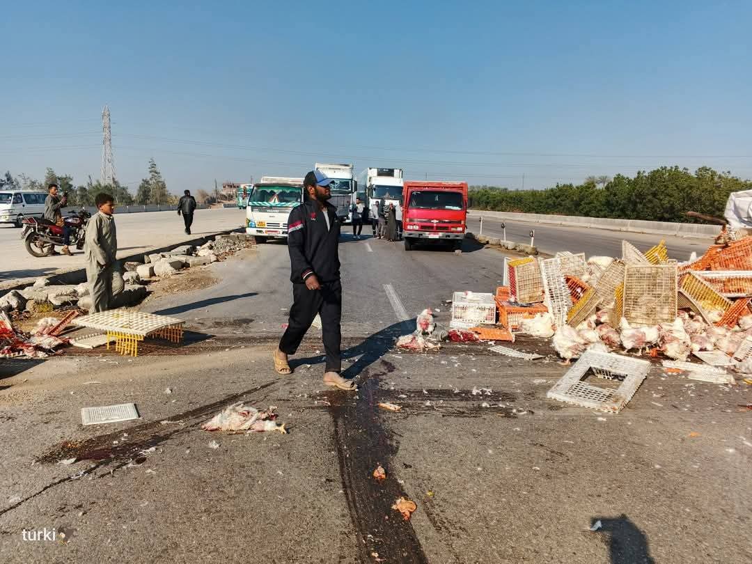 انقلاب سيارة نقل محملة بالفراخ على الطريق الإقليمي 