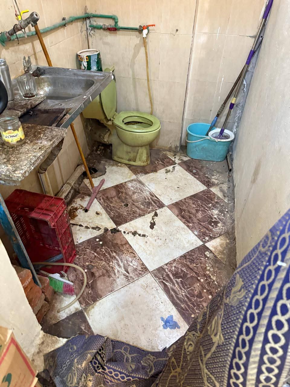 حملات صحة السويس