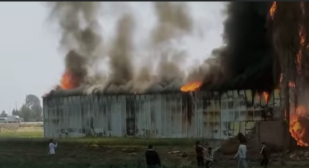 جانب من الحريق