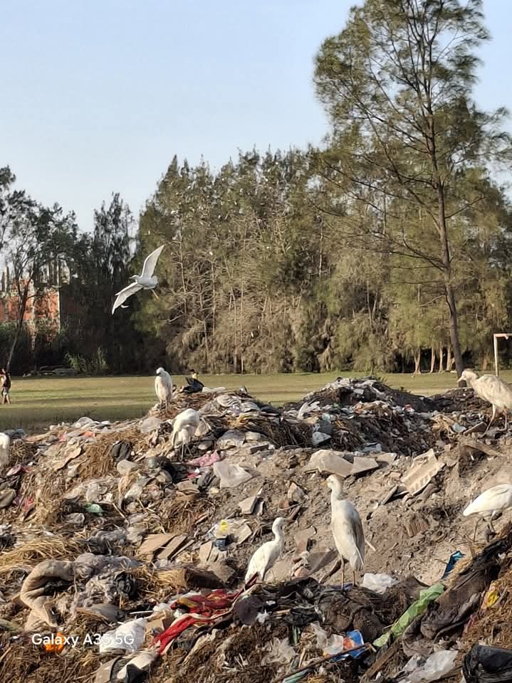 مقلب القمامة بجوار ملعب مركز الشباب