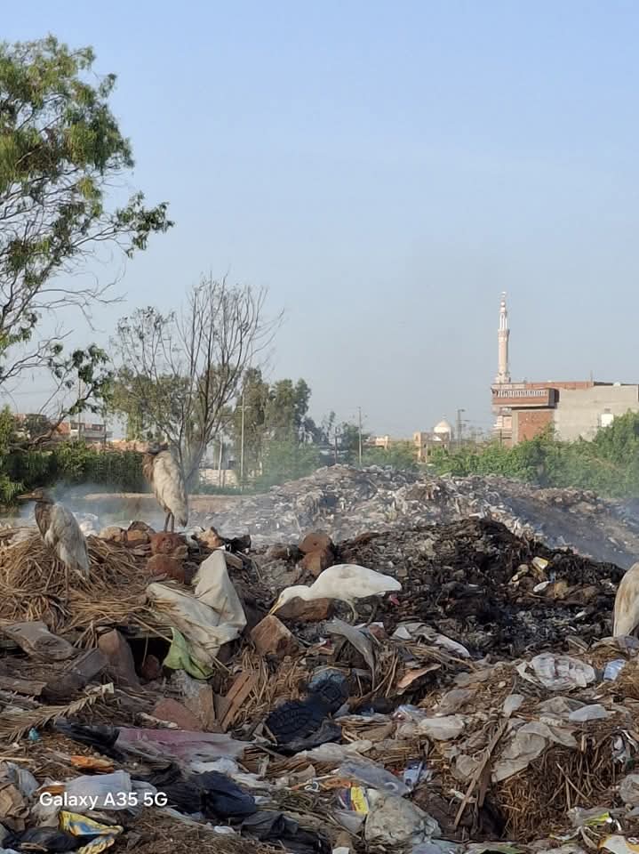 مقلب القمامة بجوار ملعب مركز الشباب