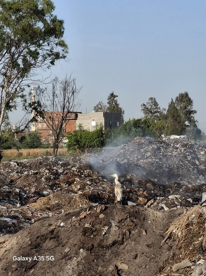 مقلب القمامة بجوار ملعب مركز الشباب