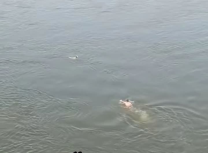 لحظة الإنقاذ