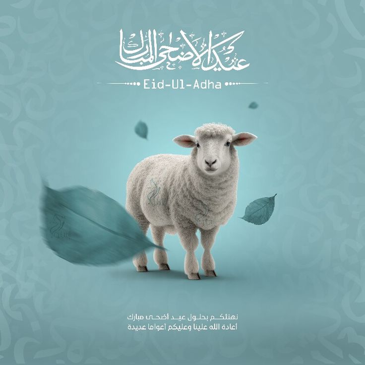 موعد إجازة عيد الأضحى 2025