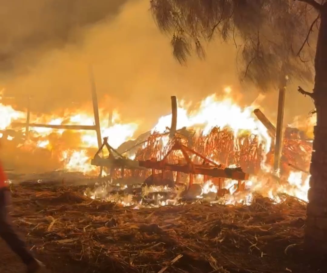 حريق في عشش وأحطاب بقرية كفر سليمان بالغربية