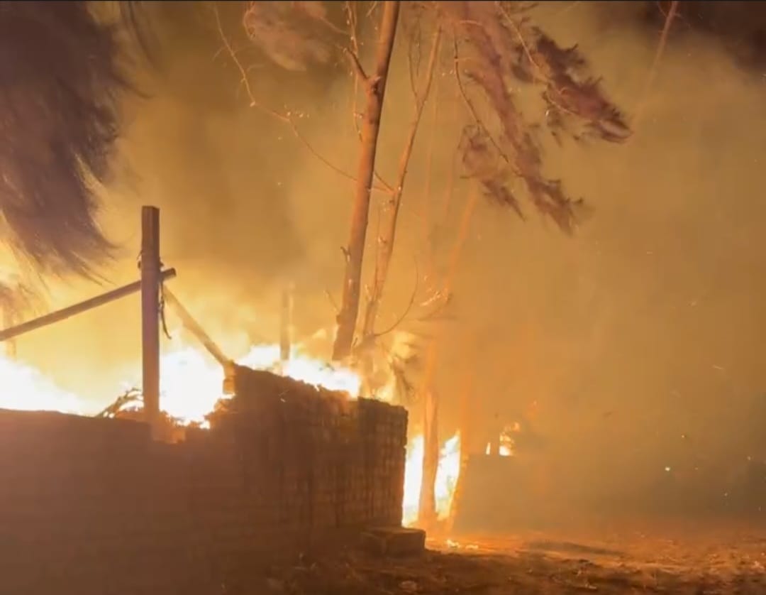 حريق في عشش وأحطاب بقرية كفر سليمان بالغربية