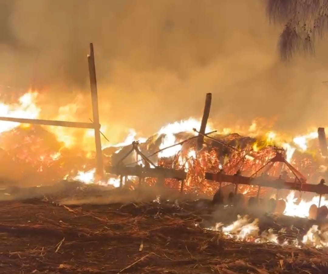 حريق في عشش وأحطاب بقرية كفر سليمان بالغربية