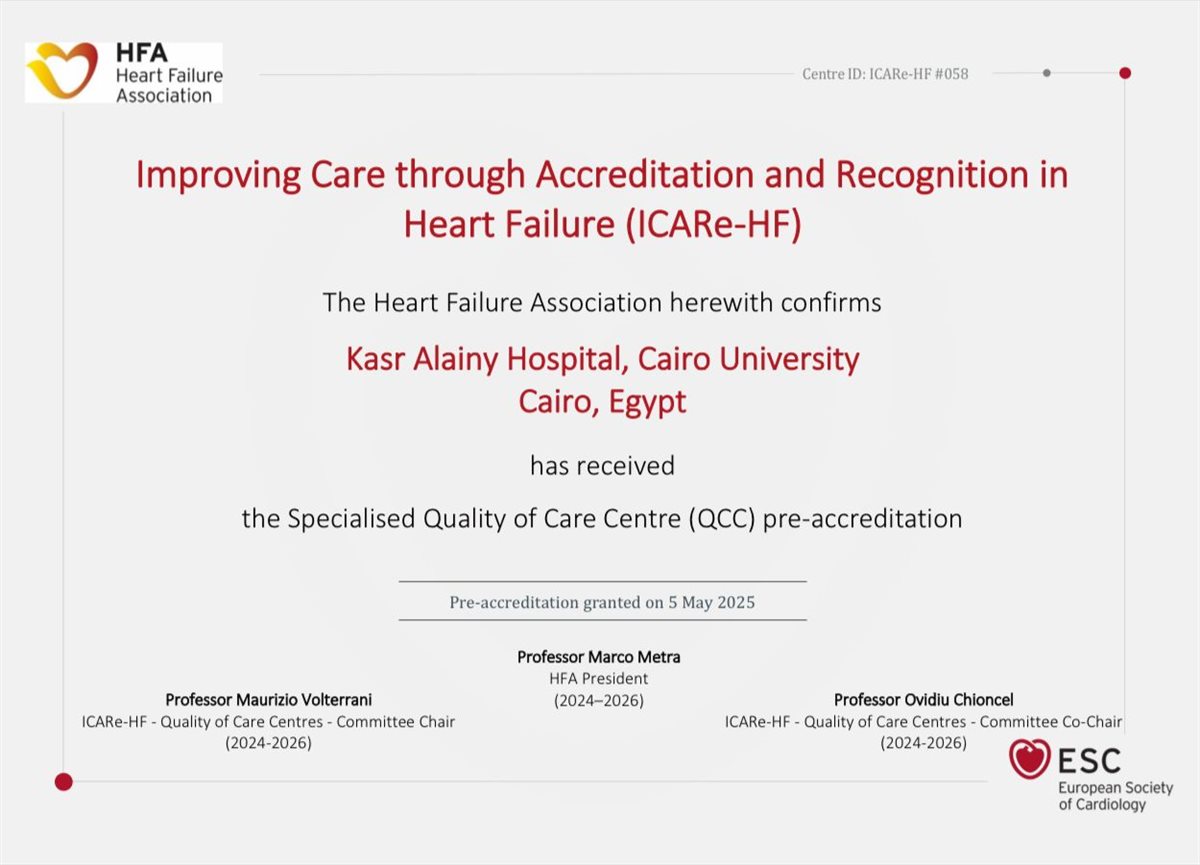 القصر العيني