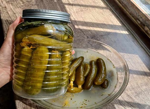 مخلل الخيار السريع