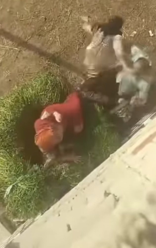 جانب من فيديو تعدي رجل علي سيدة بالدقهلية 