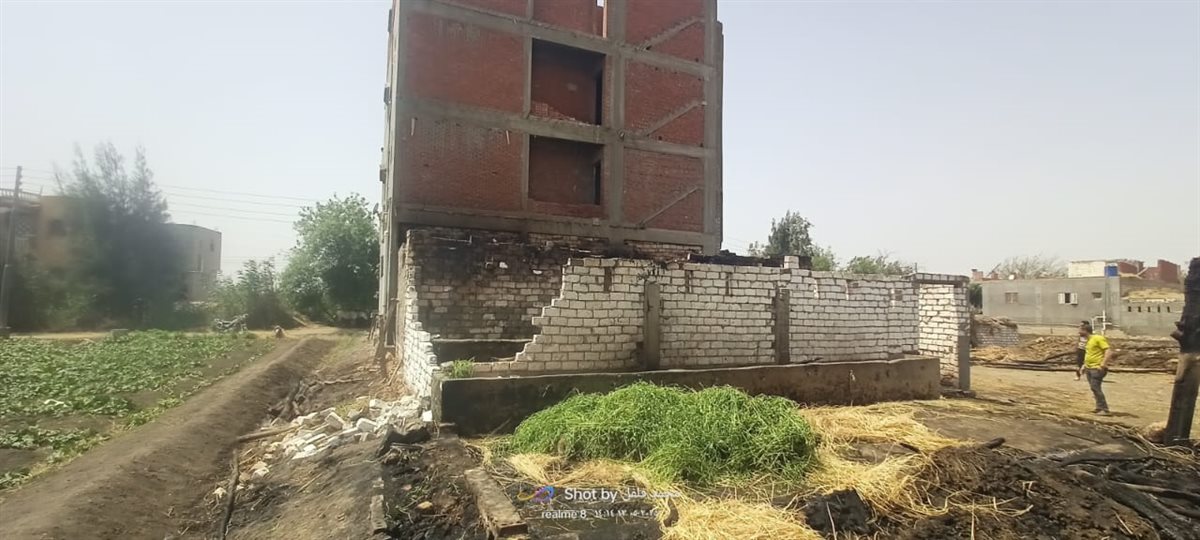 نفوق 11 رأس ماشية في حريق بمزرعة ماشية بالبحيرة