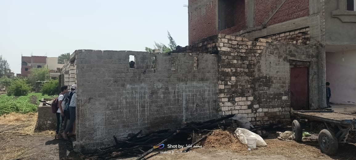 نفوق 11 رأس ماشية في حريق بمزرعة ماشية بالبحيرة