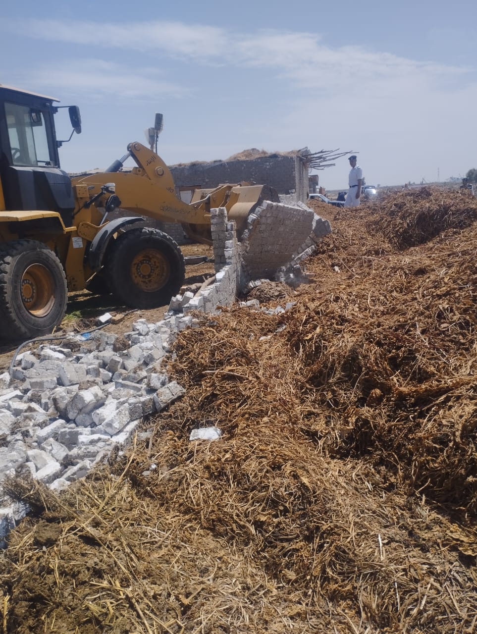 الجهود التنفيذية ببورسعيد 