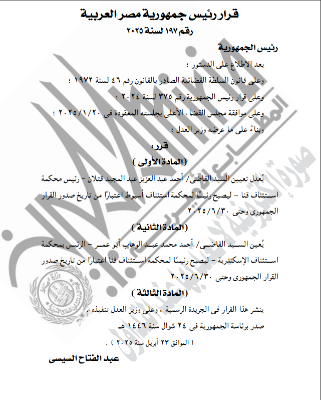 نص القرار الصادر