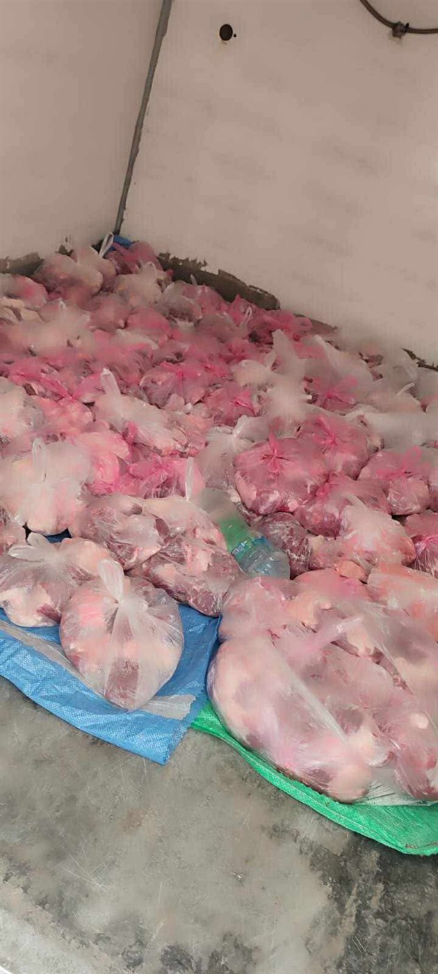 حملة تموين ببورسعيد 