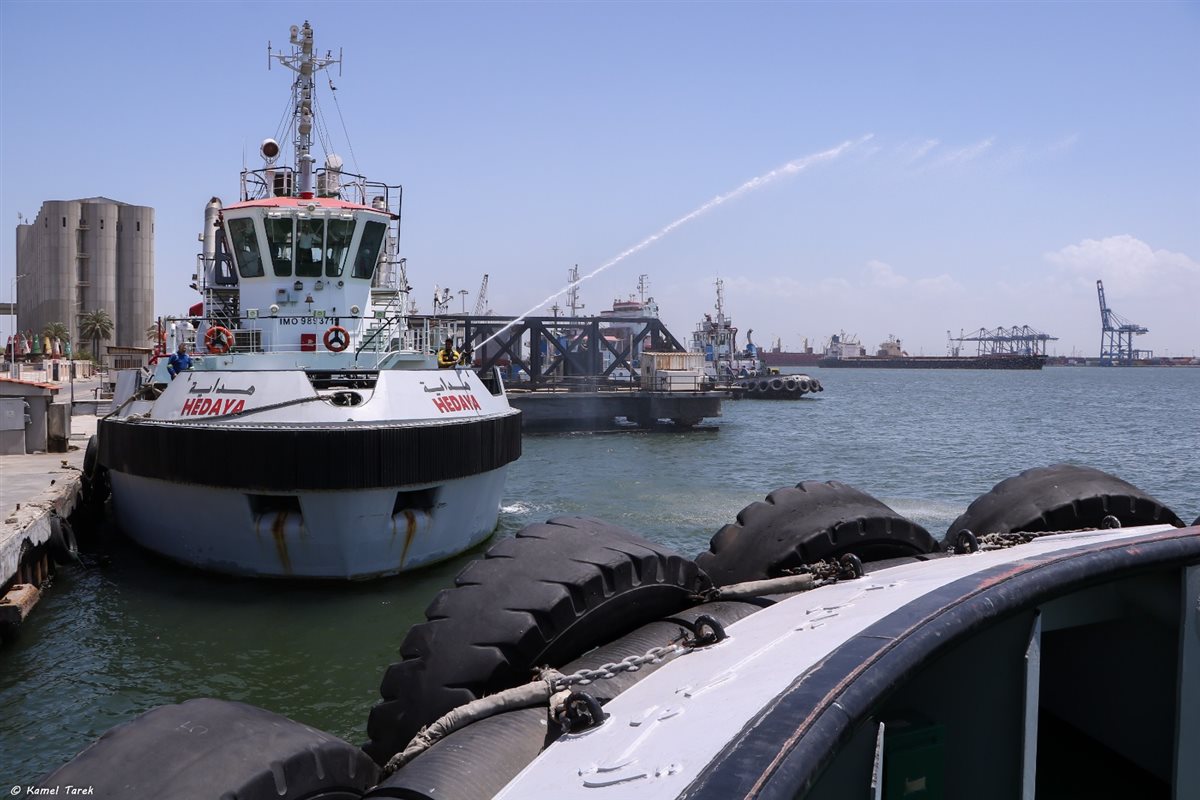 مراجعة أنشطة ميناء دمياط