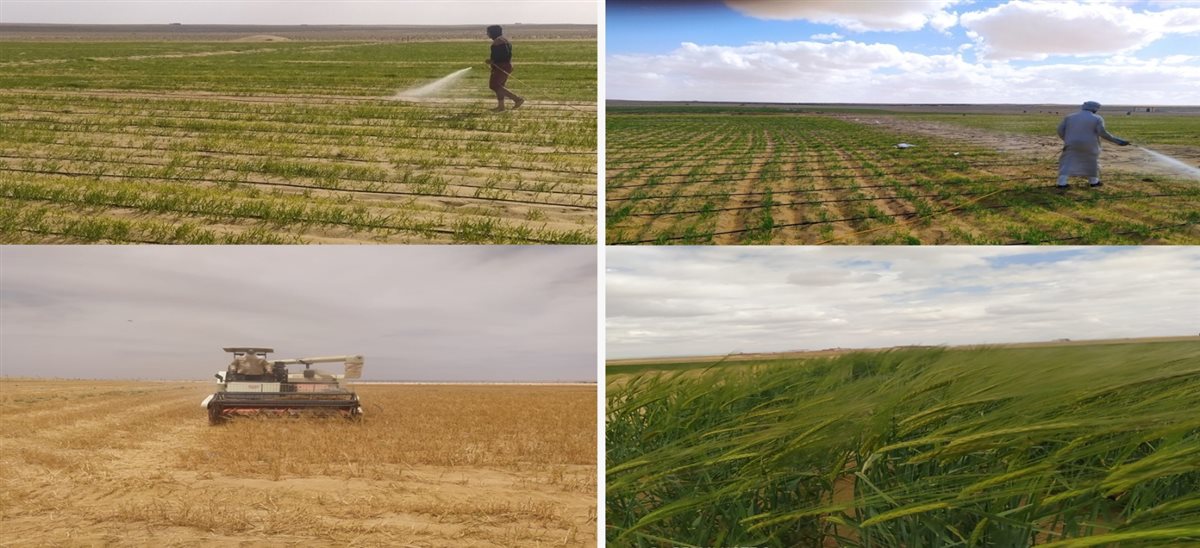 منطقة المغرة