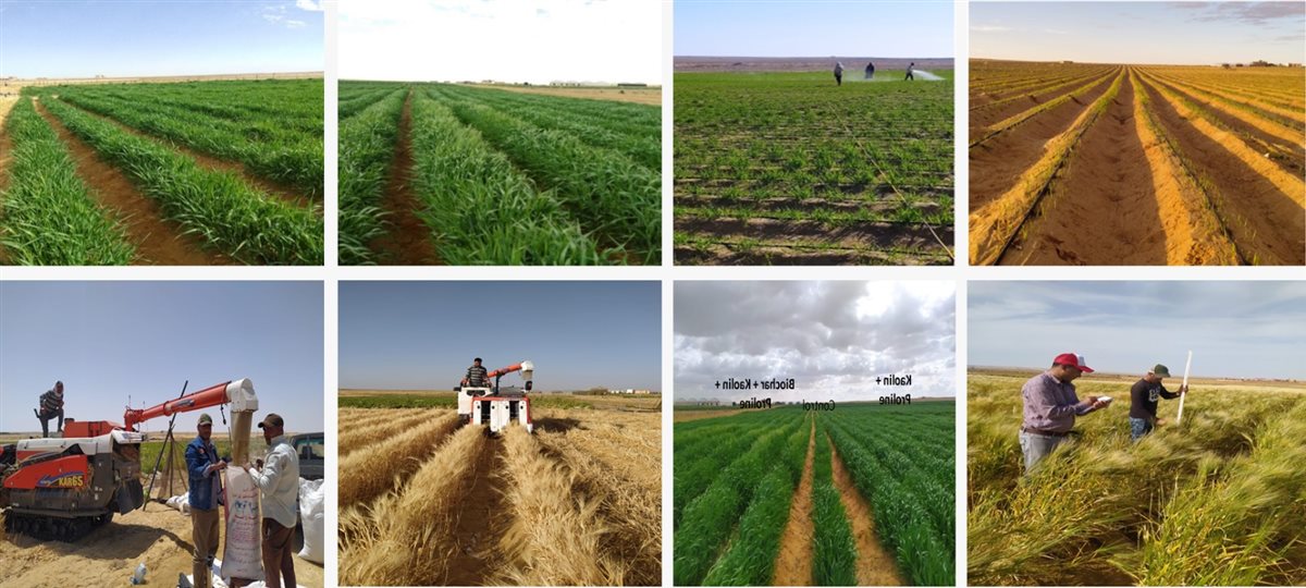 منطقة المغرة