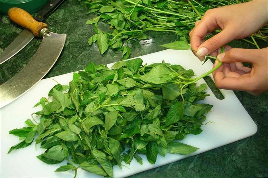 طريقة عمل الملوخية الخضراء