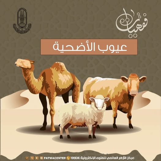 عيوب الأضحية