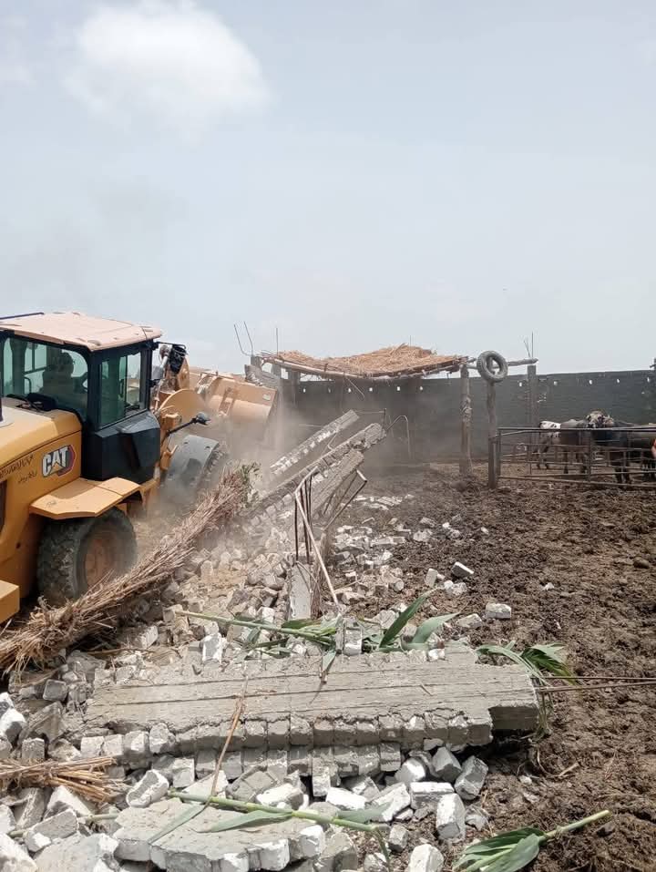 الجهود التنفيذية ببورسعيد 