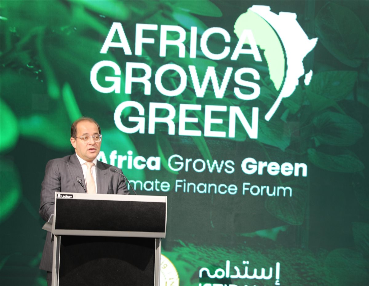 وزير المالية 