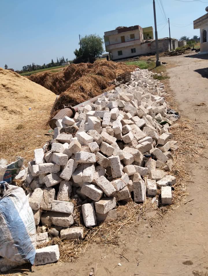 إزالة 41 حالة تعد ضمن الموجة 26 بالبحيرة