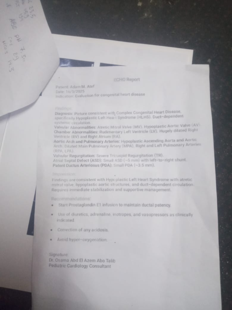 تقارير آدم5