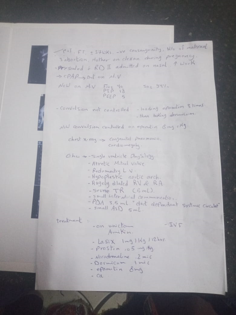 تقارير آدم3