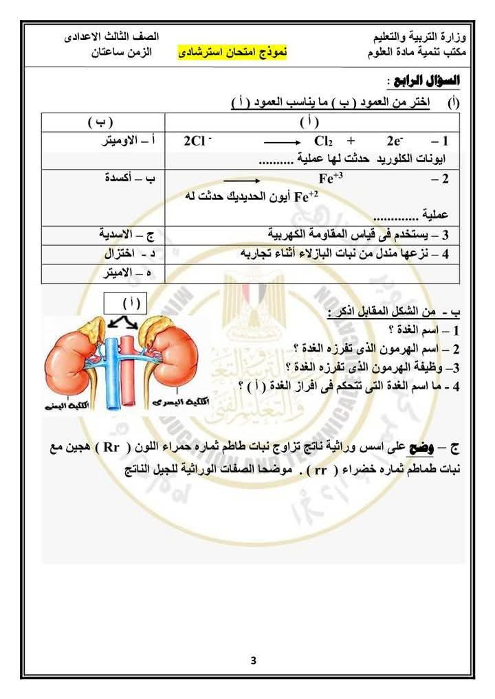 نماذج امتحانات العلوم للصف الثالث الإعدادي الترم الثاني