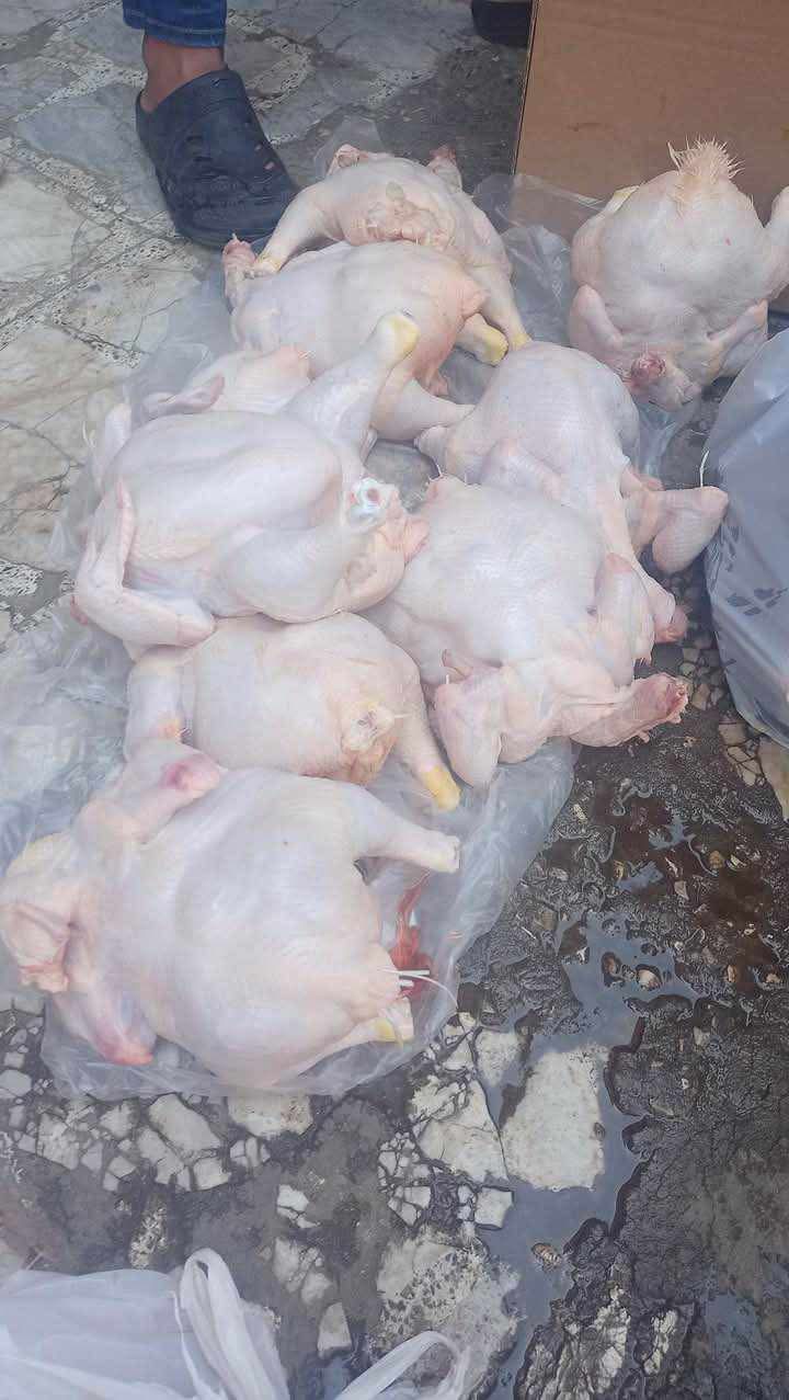 حملة تموينية مكبرة ببورسعيد 