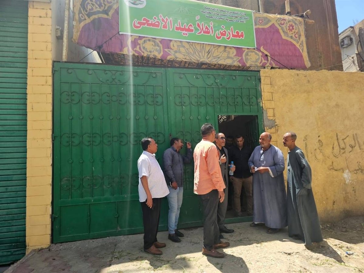 تموين الأقصر تعلن عن وصول خراف العيد 