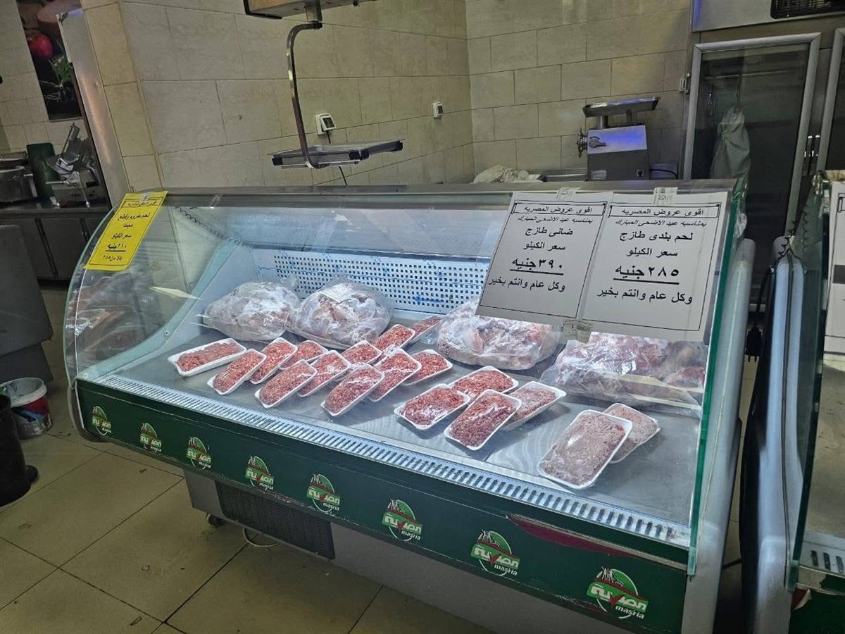 تموين الأقصر تعلن عن وصول خراف العيد 