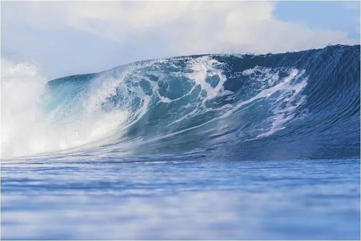 تسونامي يضرب أمريكا