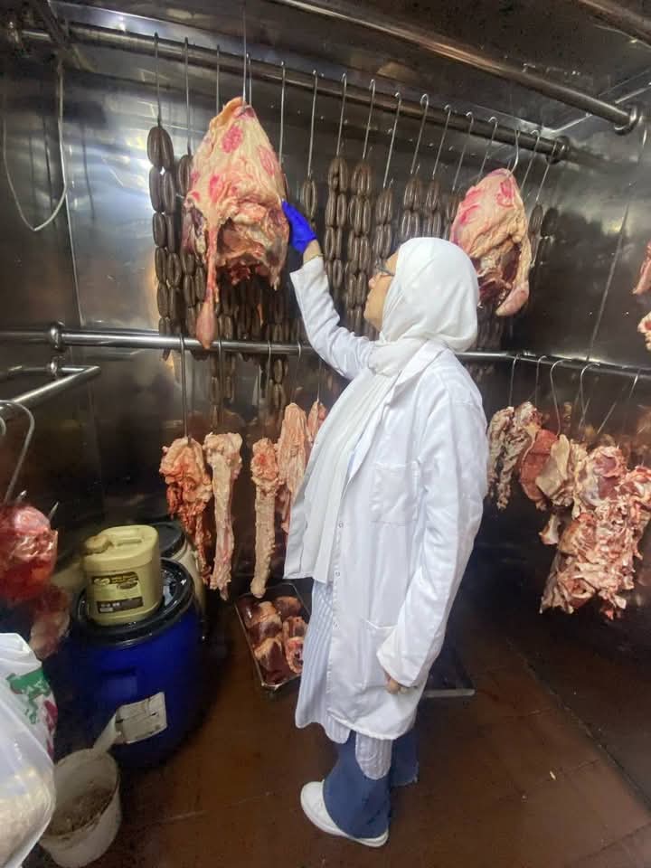 الجهود التنفيذية ببورسعيد 