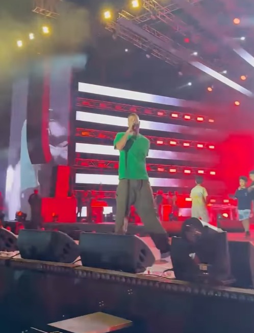 مروان موسى في حفل مشروع ميم