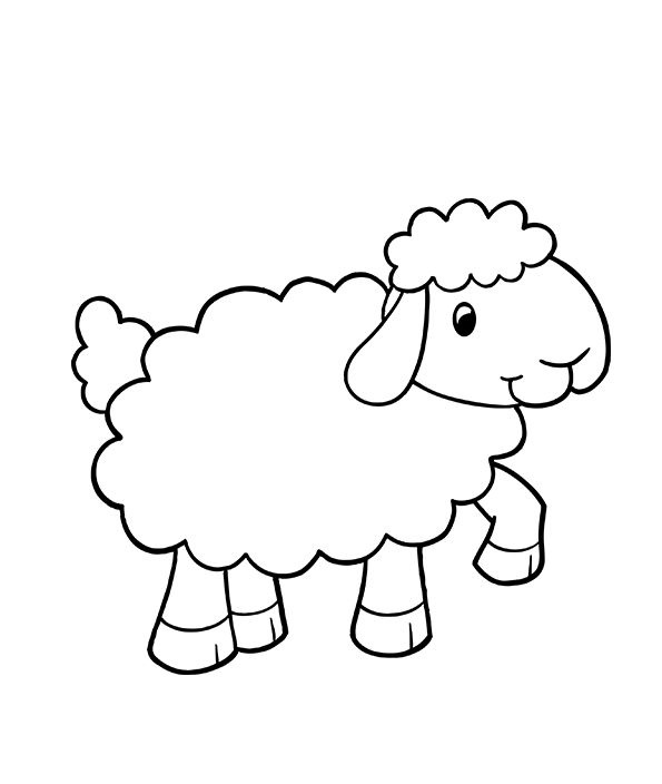 صور خروف للتلوين للأطفال