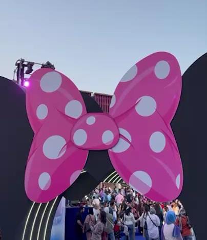 جانب من العروض 