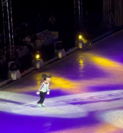 جانب من العروض 