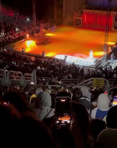 جانب من العروض 