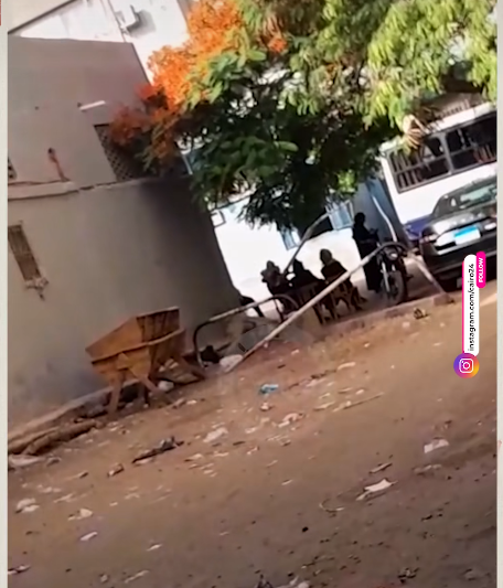 أسرة أحمد الدجوي