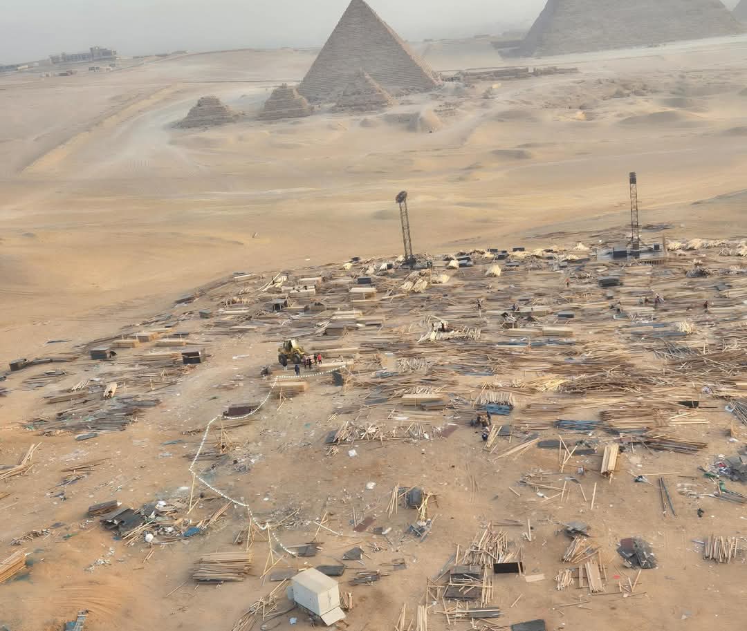 الصورة المتداولة