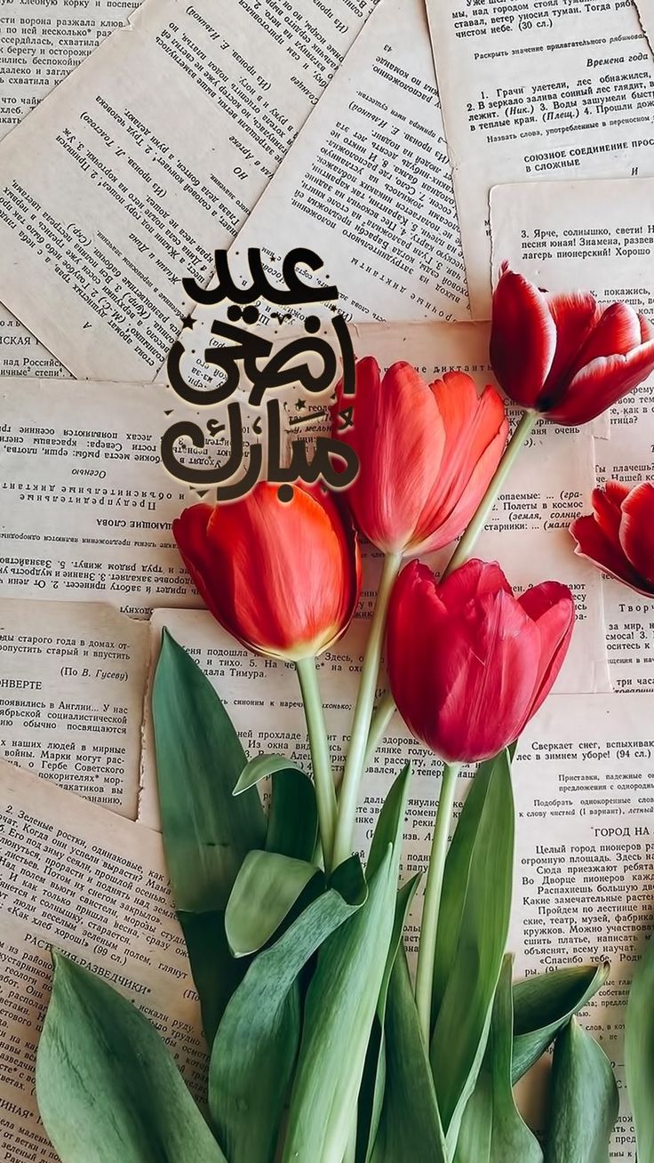 ما هي أجمل عبارات التهاني بعيد الأضحى المبارك؟