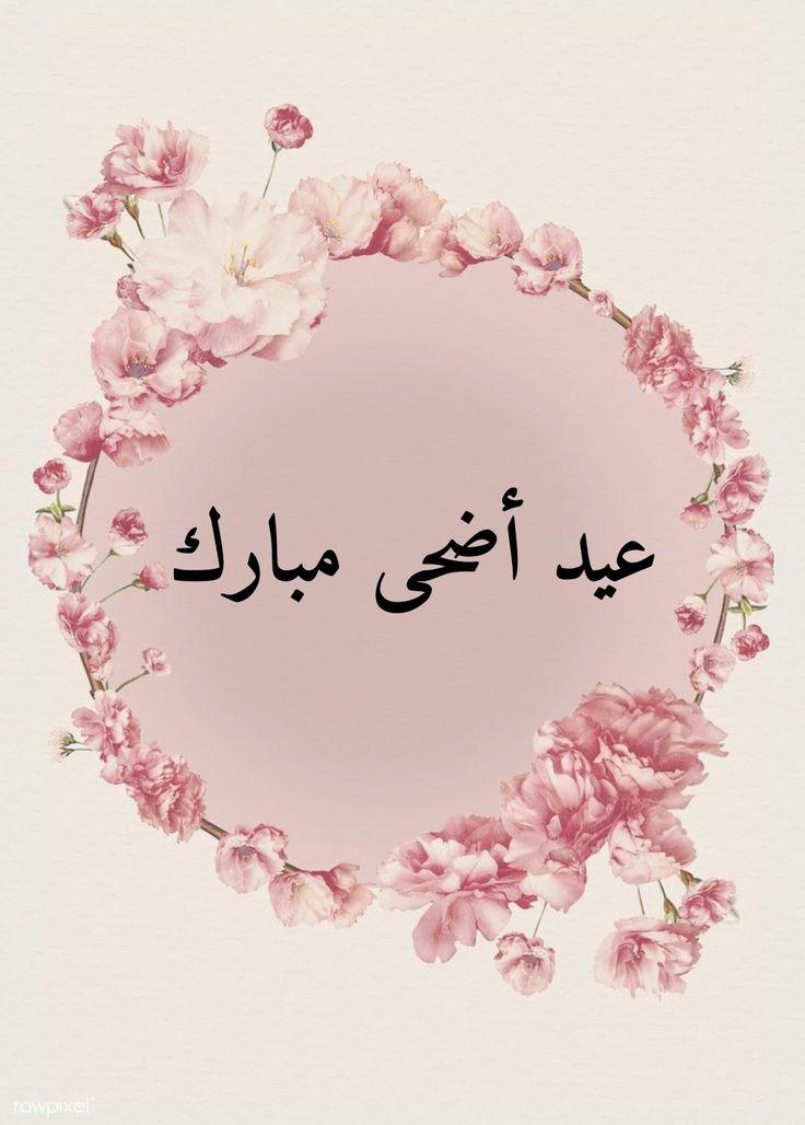 ما هي أجمل عبارات التهاني بعيد الأضحى المبارك؟