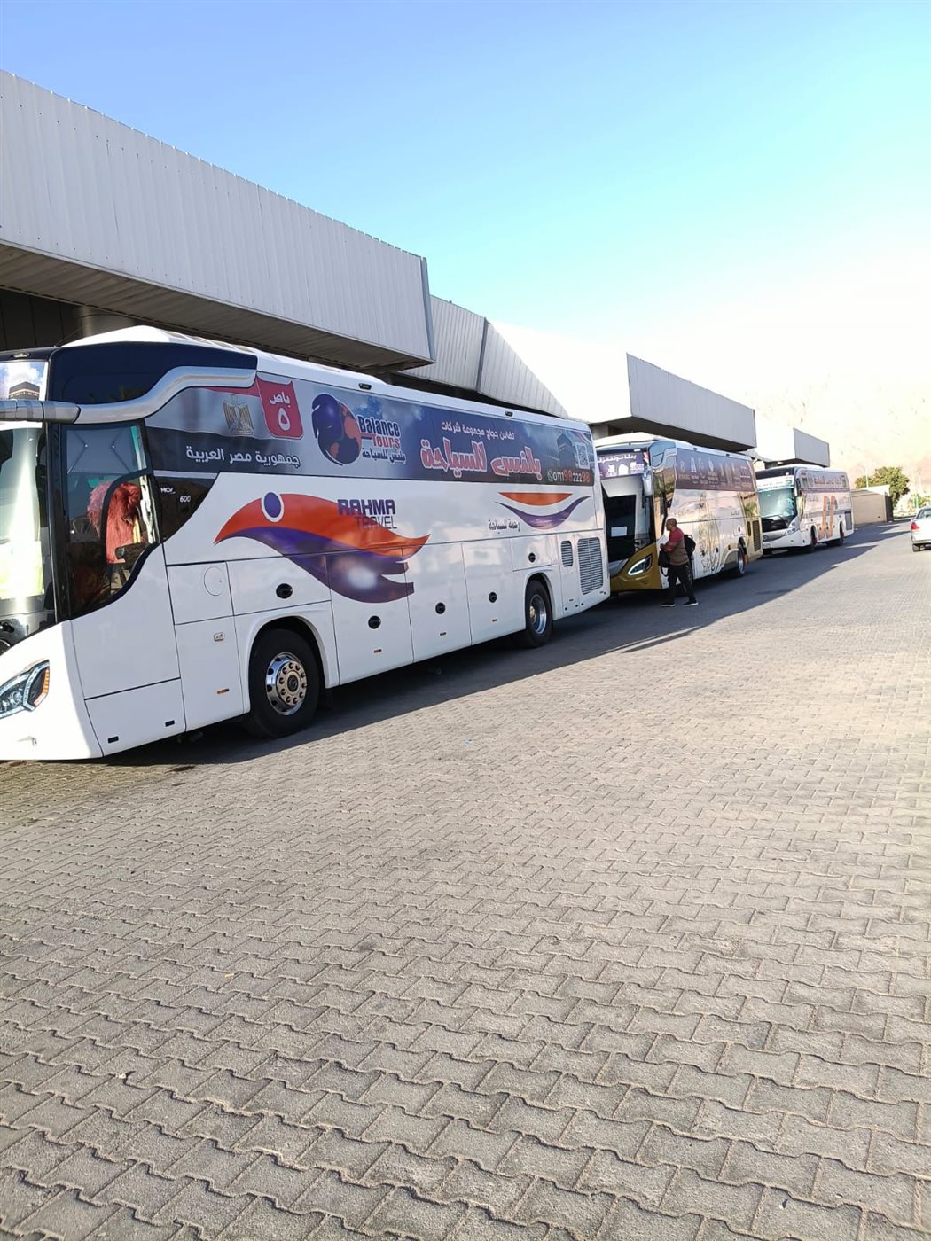 سفر الفوج الثامن من الحجاج  عبر ميناء نويبع 